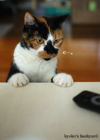 ドリトス、食べたい!_b0253205_02471961.jpg