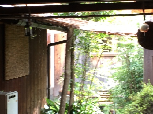 c0166506_13384139.jpeg