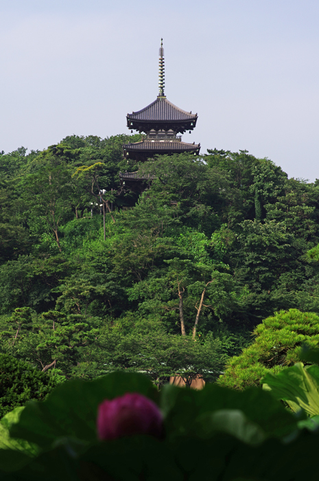 b0151409_07474852.jpg