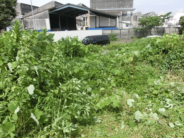 f0141310_6565693.jpg