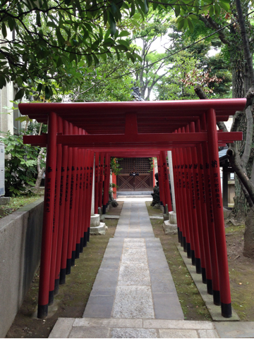 骨董市で賑わう富岡八幡宮②見所ありますよ_d0255514_18175200.jpg