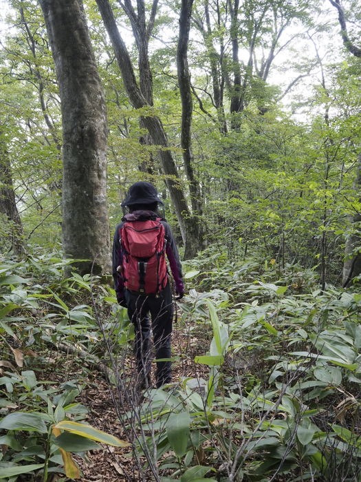 女亀山登山_c0116915_23591566.jpg