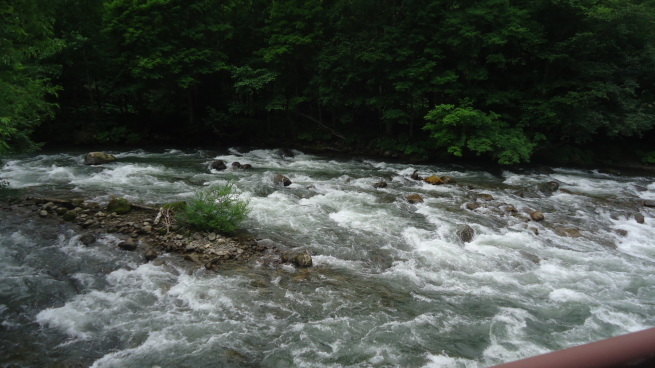 b0057924_22022989.jpg