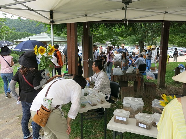 f0177529_17302871.jpg