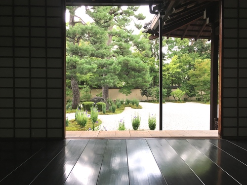 桔梗のお寺、廬山寺へ_a0197730_17383145.jpg
