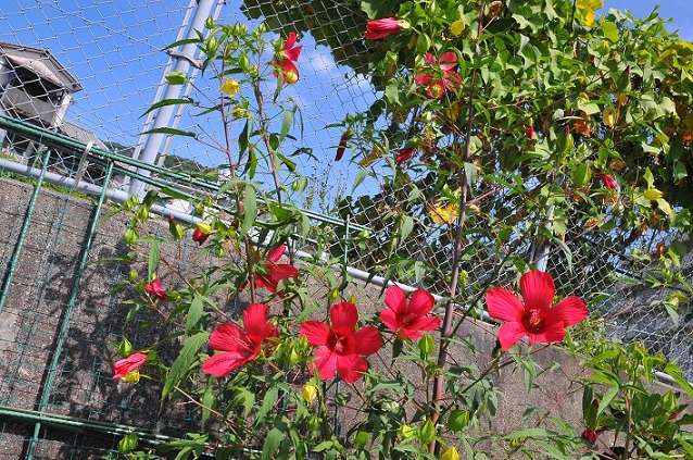 c0142535_19251820.jpg