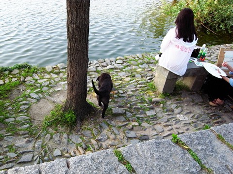 中国猫歩き(犬も) Part 1_b0145843_2239335.jpg
