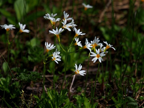 c0081645_2183619.jpg