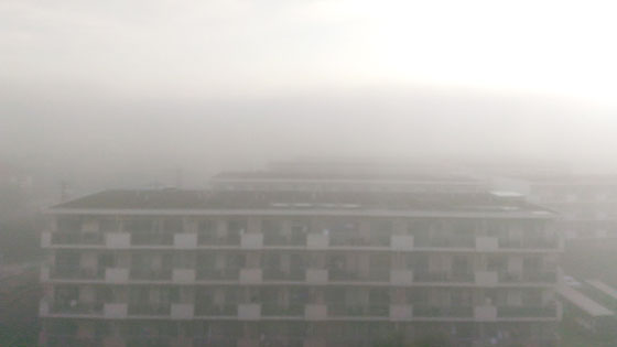 c0335348_1121068.jpg