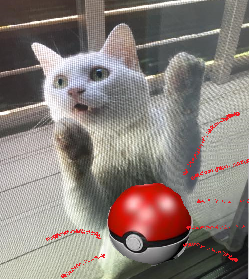 厚木で捕獲【ポケモンGO】でニャース出現？！_f0364153_05553644.png