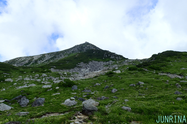 d0110562_16070802.jpg