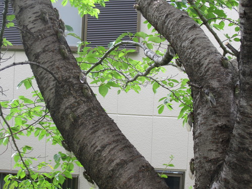 f0256164_10443024.jpg
