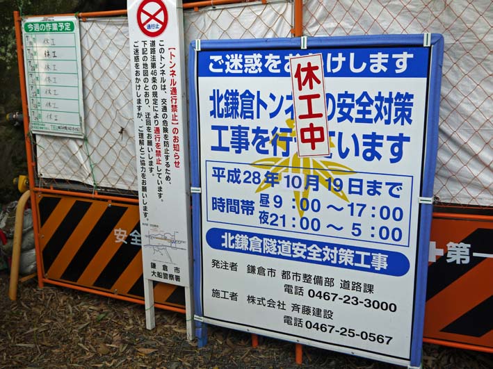 速報！松尾鎌倉市長が緑の洞門の開削見直し、保全表明7・25_c0014967_1384851.jpg