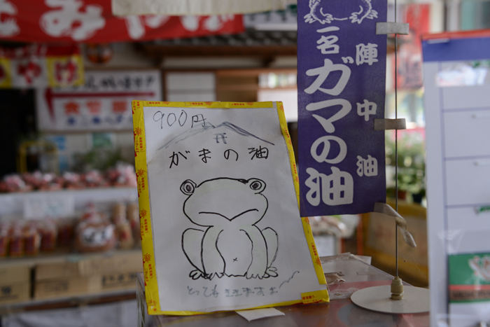 恐怖の珍スポット!巨大ガマガエルが出迎えるガマ洞窟(茨城県つくば市)_e0171573_20373149.jpg