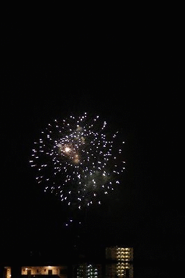 c0139375_1141983.gif