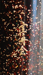 限定螺鈿万年筆「M1000 彩星 」(実際の画像で)_e0200879_14305368.jpg