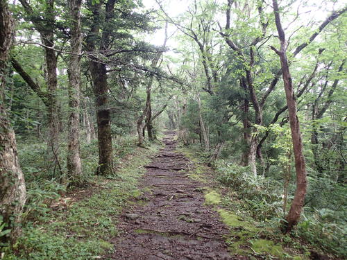 夏休み(その1)　三倉～芸北～大山_f0223480_22393530.jpg