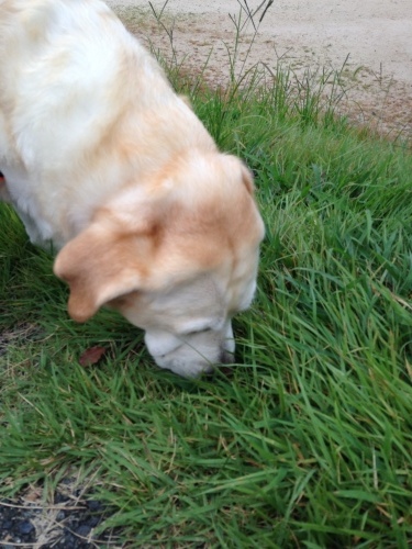 f0315081_21260677.jpeg