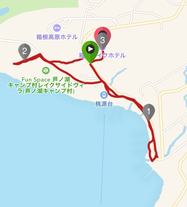 やればできる(気温次第で…)_f0310282_19250097.jpeg