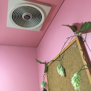 教室のトイレがっ_a0191183_1912393.jpg