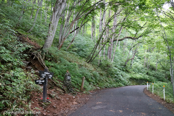 スニーカーでも行けるお手軽ハイキング：谷川岳 一ノ倉沢　№１_d0114093_2245043.jpg