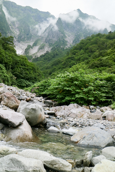 スニーカーでも行けるお手軽ハイキング：谷川岳 一ノ倉沢　№１_d0114093_2262820.jpg