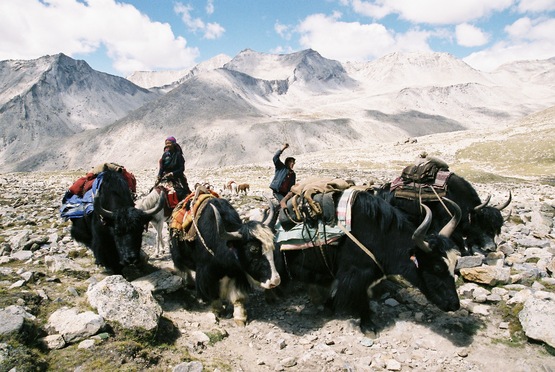 Himalko keti Dolpo&Mustang Exp.2016_e0111396_2162649.jpg