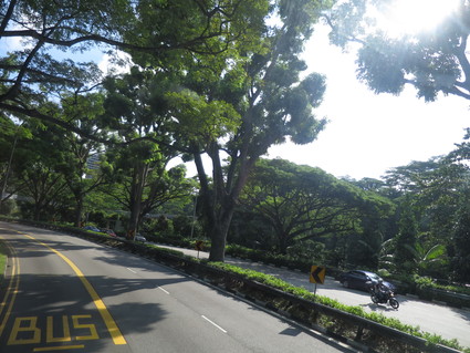 c0212604_7191648.jpg