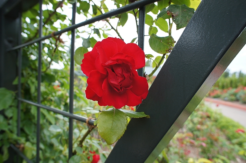 a0248508_1246466.jpg