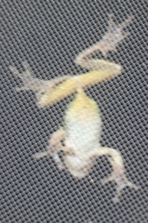 e0174008_17395479.jpg