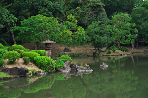 六義園（りくぎえん）の緑1_a0263109_1830876.jpg