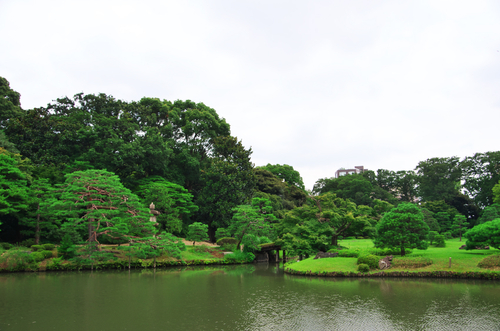 六義園（りくぎえん）の緑1_a0263109_18315766.jpg