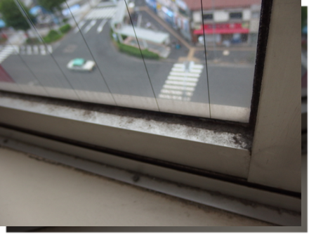 a0114514_19363777.png