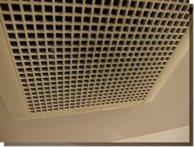 a0114514_21104292.png