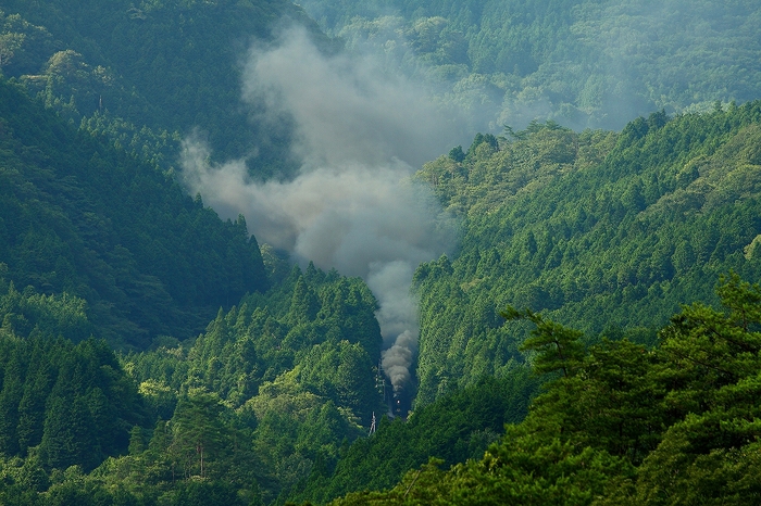 2016年　梅雨が明けた山口線2_f0233120_2243424.jpg