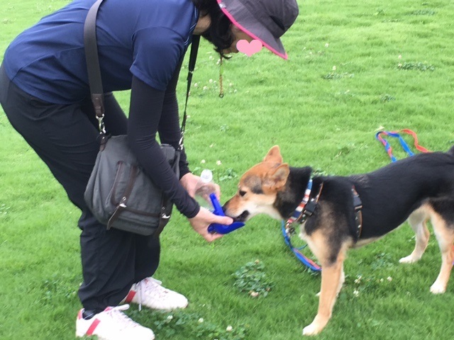 d0046821_22331645.jpeg