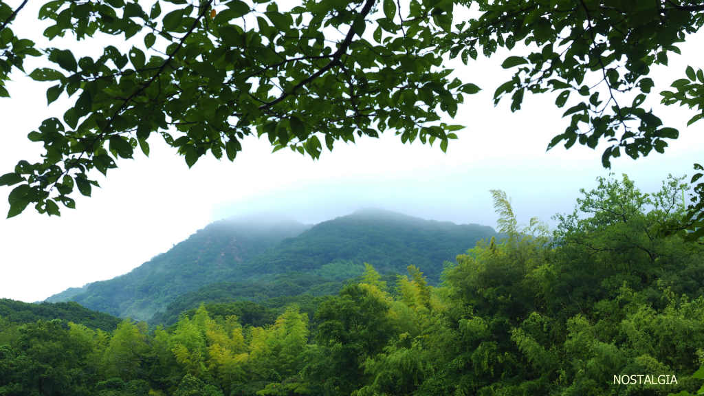 e0255927_21181768.jpg