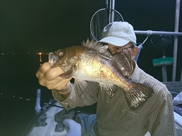 ７月２６日 メバル夜釣り 黒潮丸 広島 遊魚船 釣り船 お問い合わせ ０９０ ６４１１ ８８８２