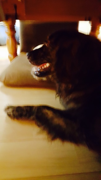 d0269832_15083328.jpeg