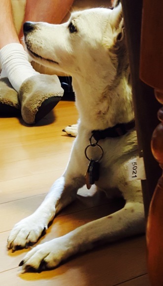 d0269832_15122796.jpeg
