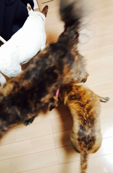 d0269832_15143832.jpeg