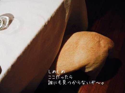 d0269832_15201036.jpeg