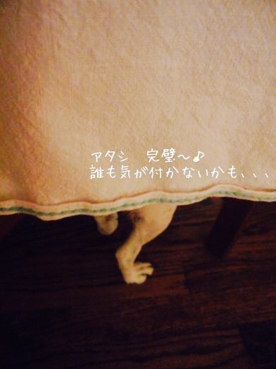 d0269832_15210472.jpeg