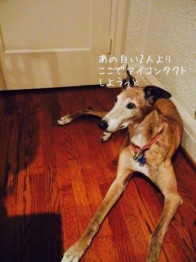 d0269832_15214769.jpeg