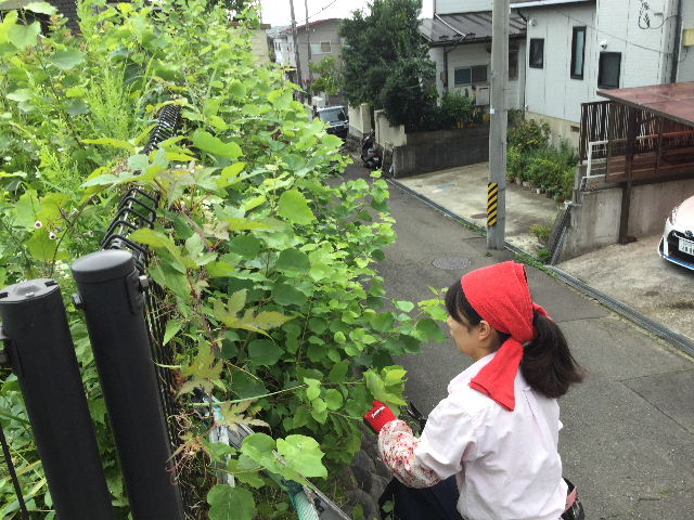 汗だくの半日作業 80坪の草刈り_f0031037_19545434.jpg