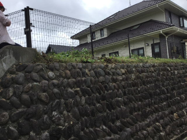 汗だくの半日作業 80坪の草刈り_f0031037_1955546.jpg