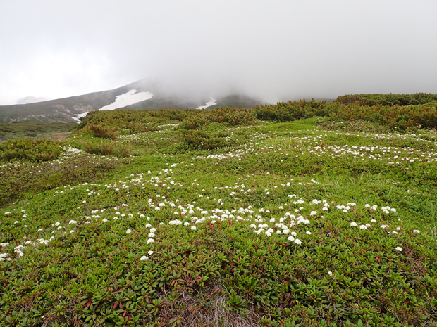 大雪山＊旭岳⑥最終回＊_f0214649_17185311.jpg