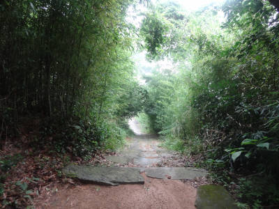 e0033751_10423562.jpg