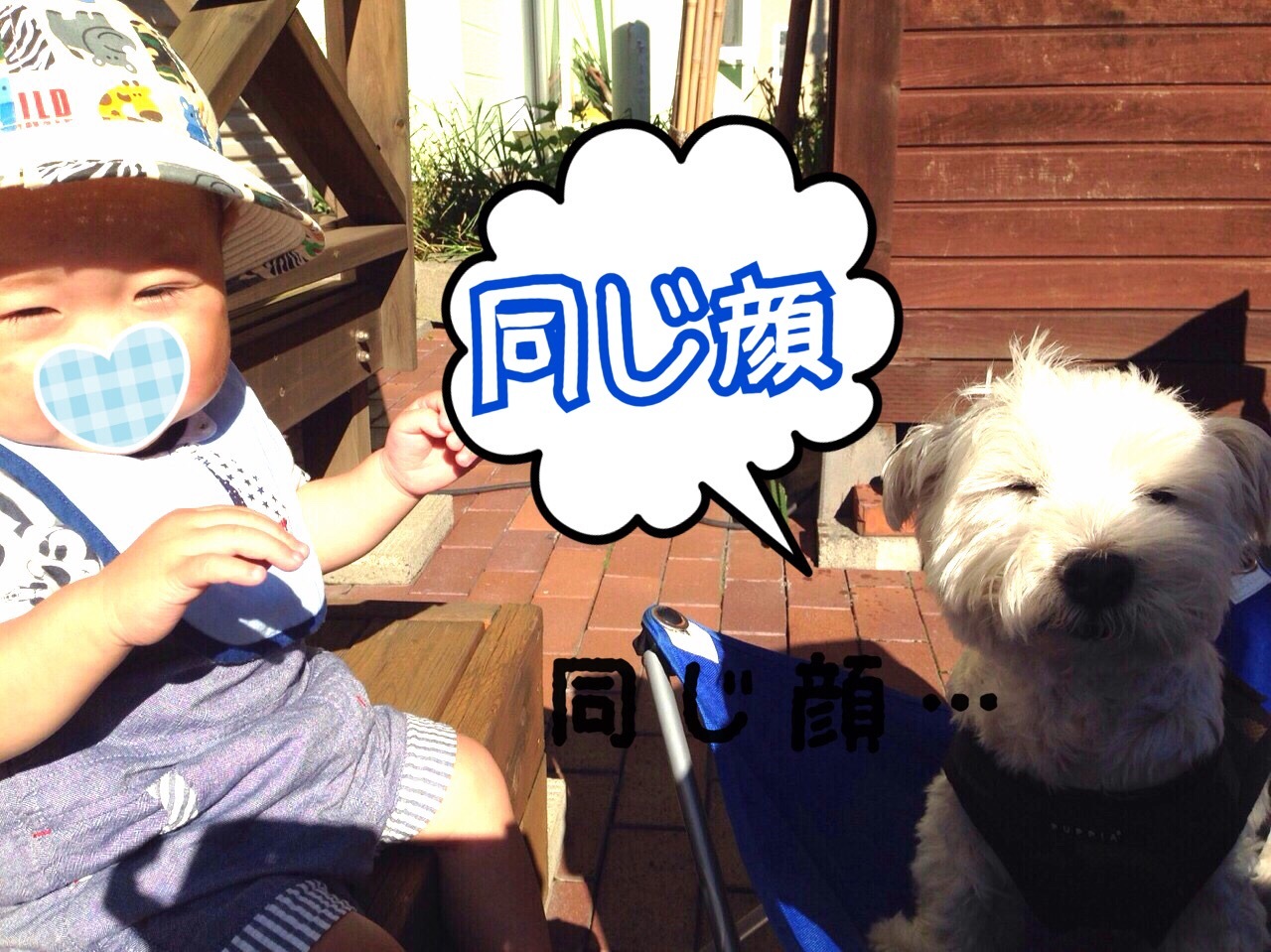 a0337860_23114765.jpeg