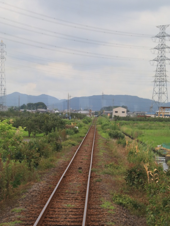 樽見鉄道制覇の旅！_d0202264_2185836.jpg